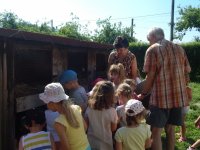 Gospodarstwo Pani Jadzi